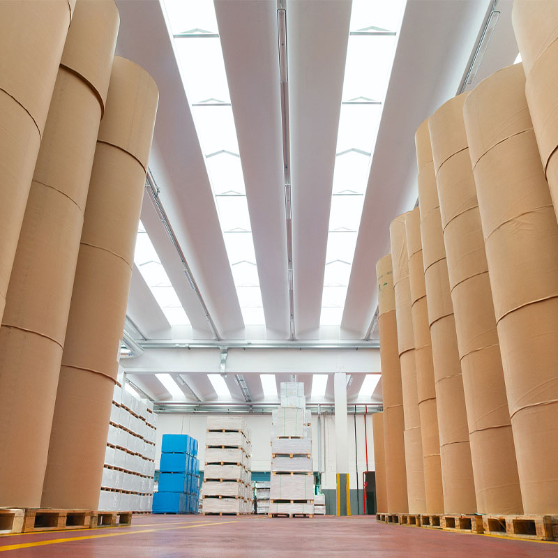 100% 原产木浆口杯原纸