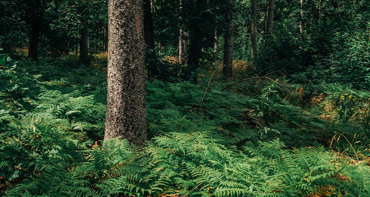杭州人民环保科技有限公司